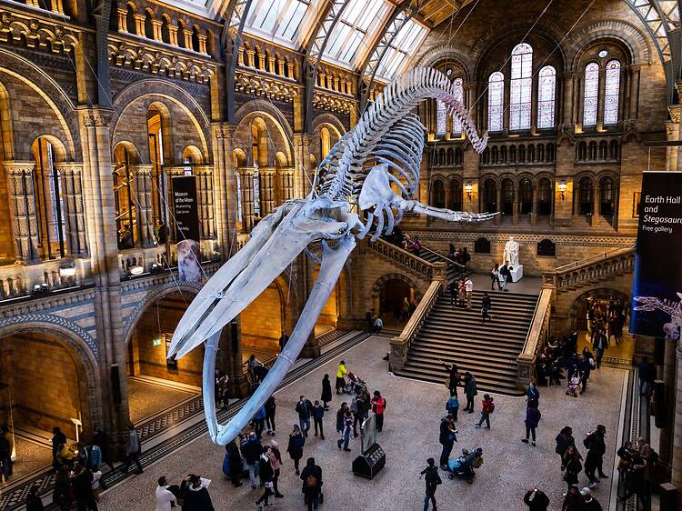 Natural History Museum, London, UK Natural History Museum, London, UK
