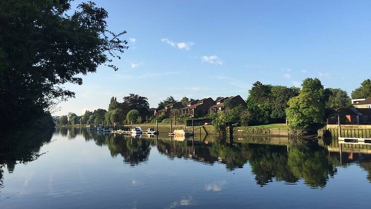 London’s first official open water swimming area in the River Thames is now open