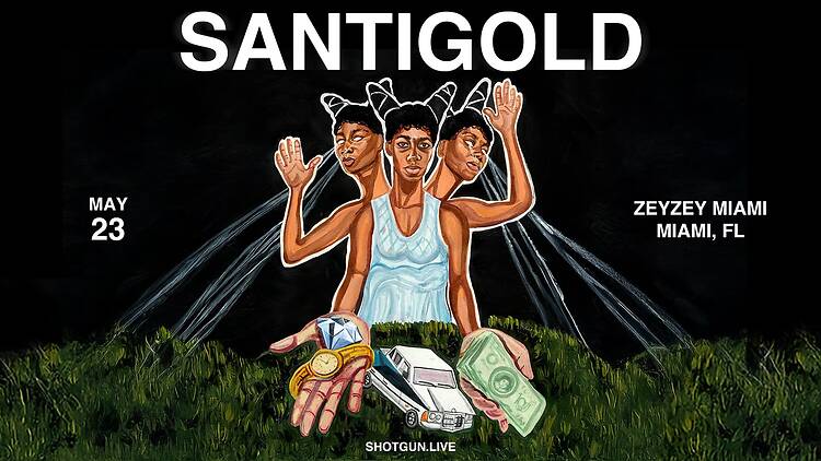 Santigold at Zey Zey
