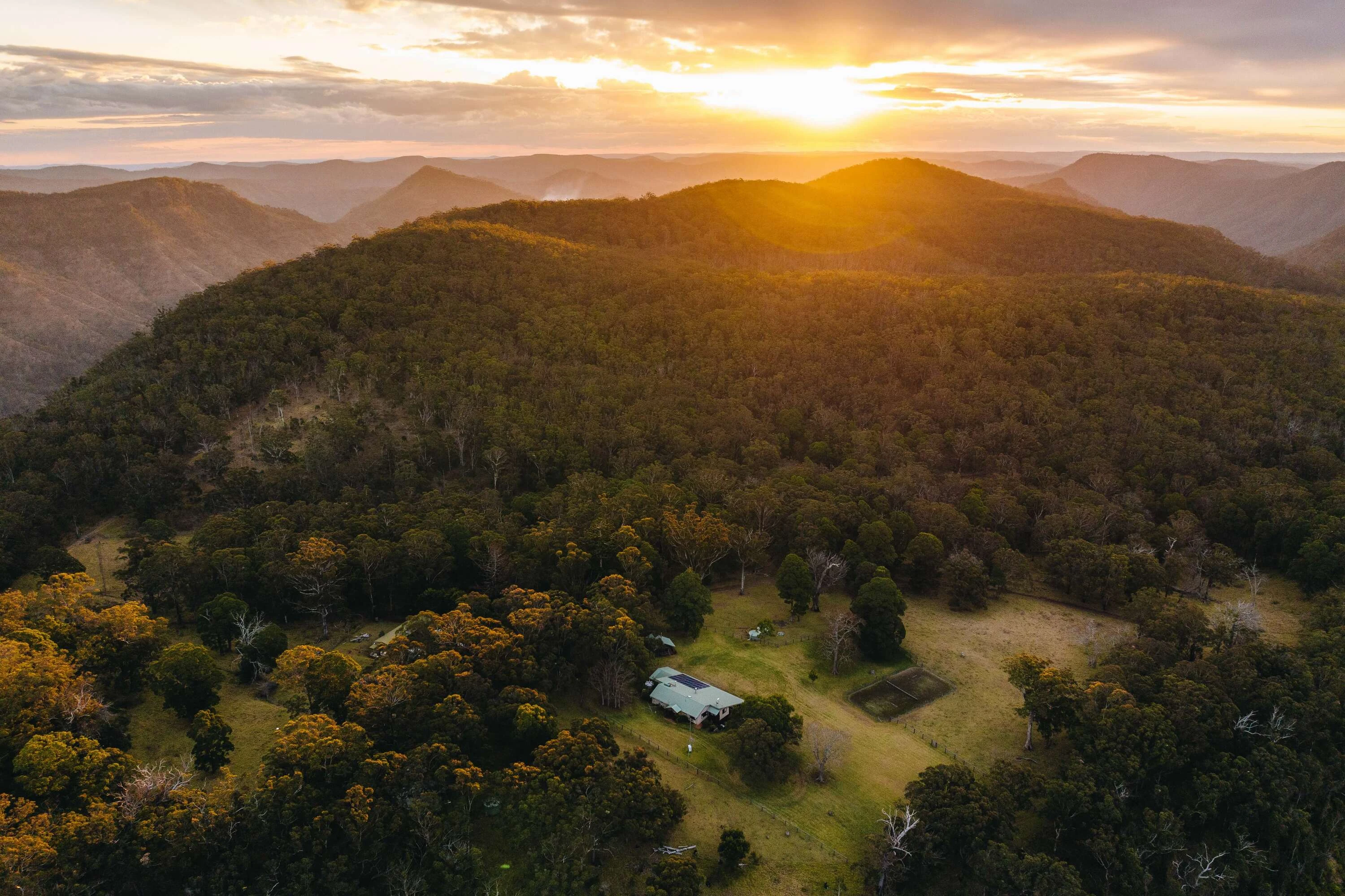 Sunset aerial of rainforest