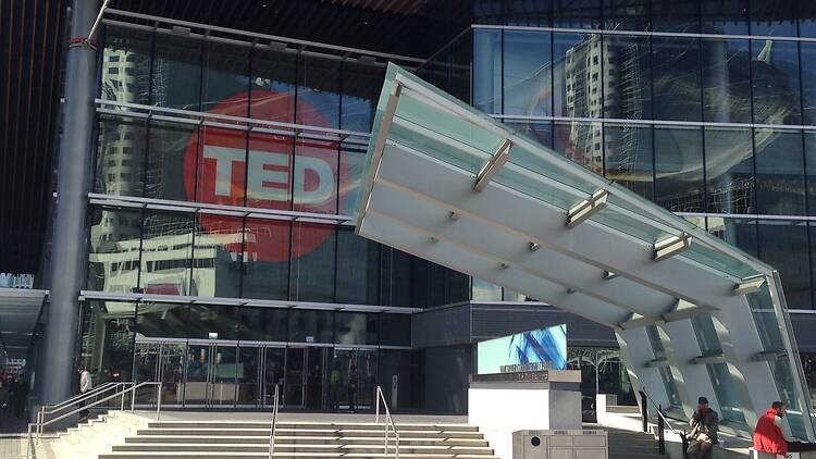 TED TED