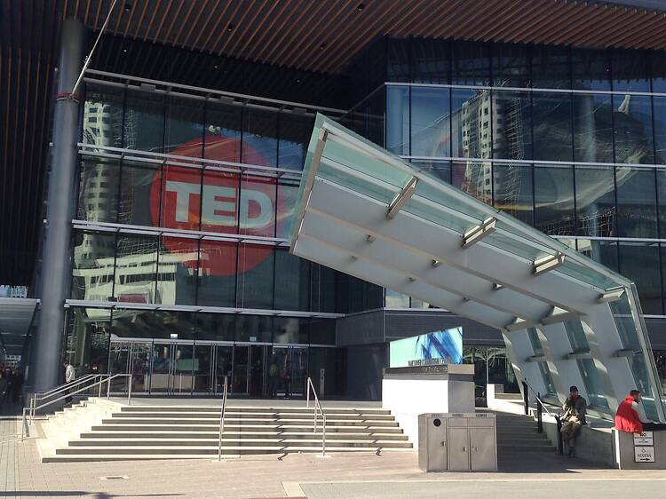 TED TED