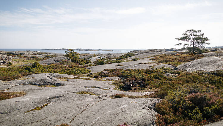 Sola och snorkla på Bullerö Sola och snorkla på Bullerö