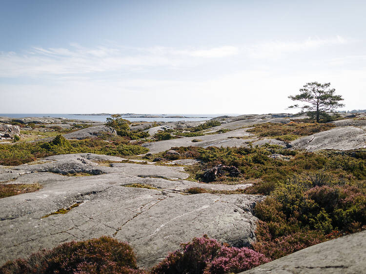 Sola och snorkla på Bullerö Sola och snorkla på Bullerö