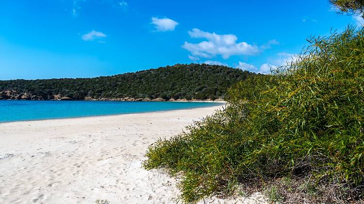 The beautiful beach of Tuerredda in Teulada, south Sardinian coastline The beautiful beach of Tuerredda in Teulada, south Sardinian coastline