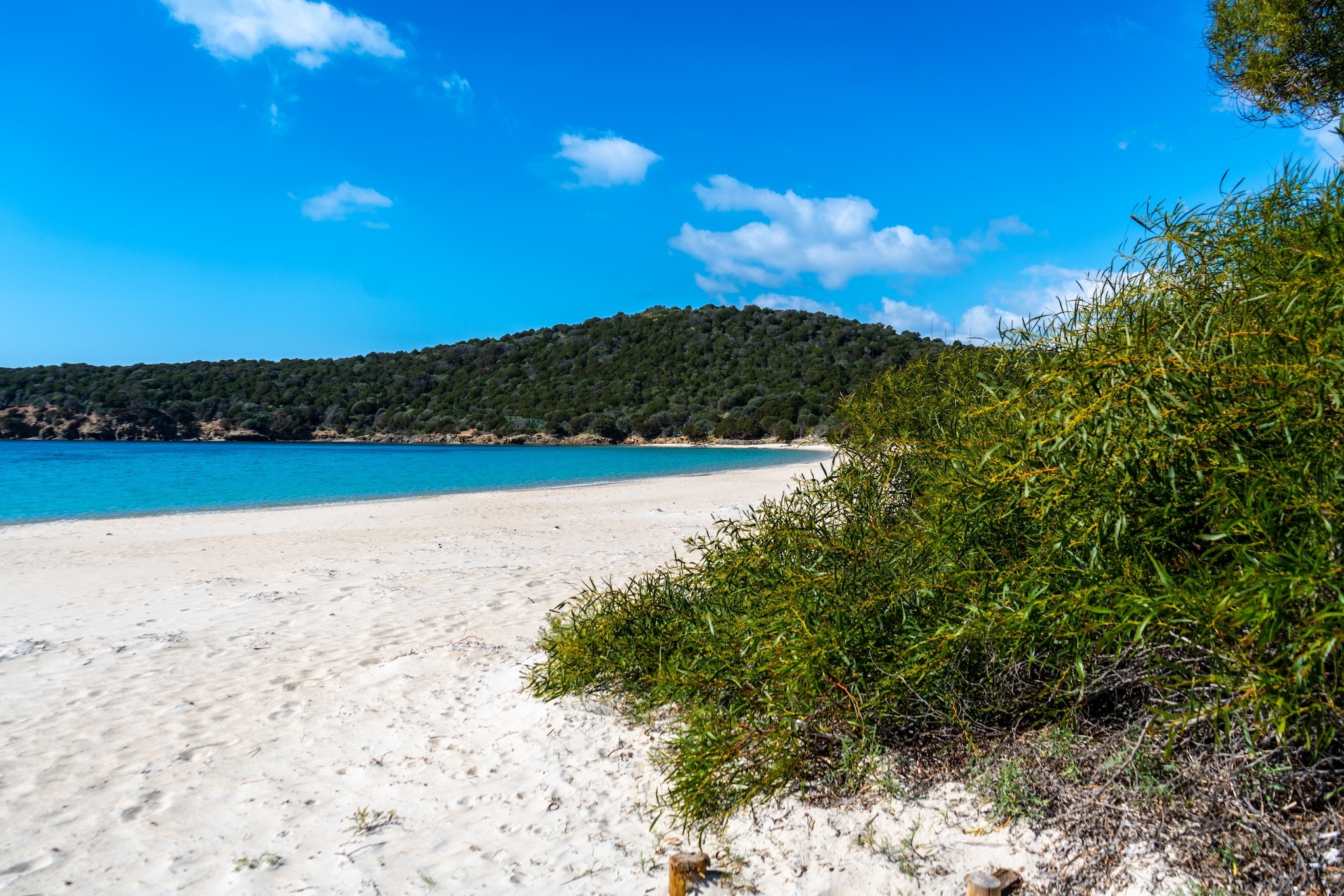 Italy Just Gained 14 New Blue Flag Beaches – Here’s Where to Find Them, Canada Reviews Italy Just Gained 14 New Blue Flag Beaches – Here’s Where to Find Them, Canada Reviews