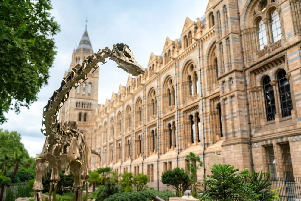 A dinosaur skeleton outside London&rsquo;s Natural History Museum
