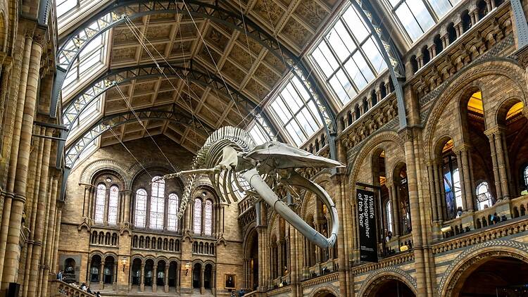 The Natural History Museum, London