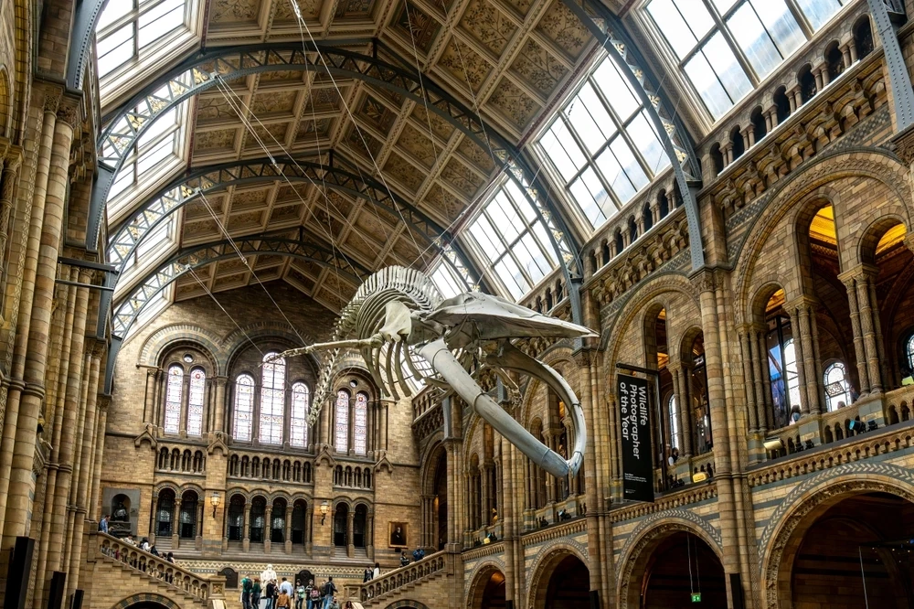 The Natural History Museum, London