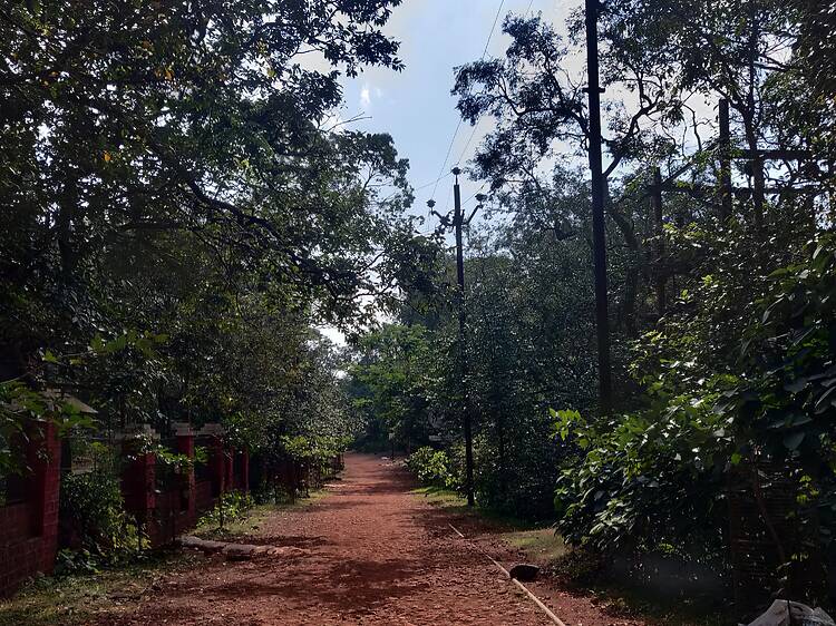 The best weekend getaways from Mumbai