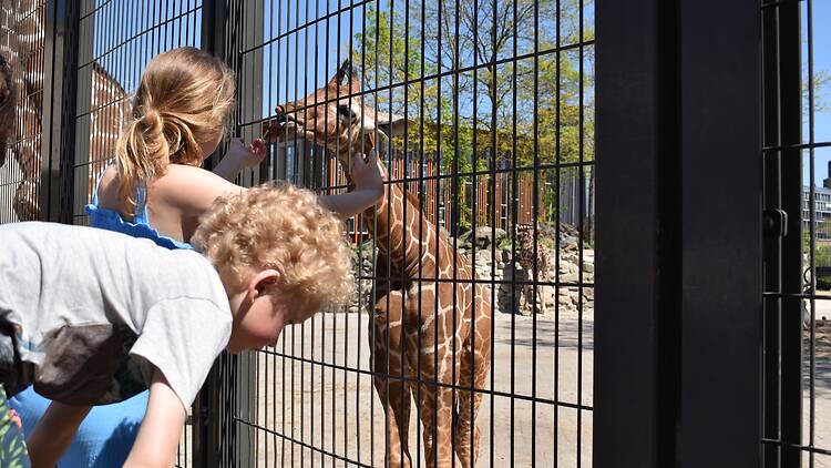 ARTIS Zoo ARTIS Zoo