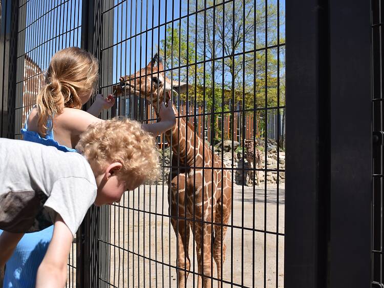 ARTIS Zoo ARTIS Zoo