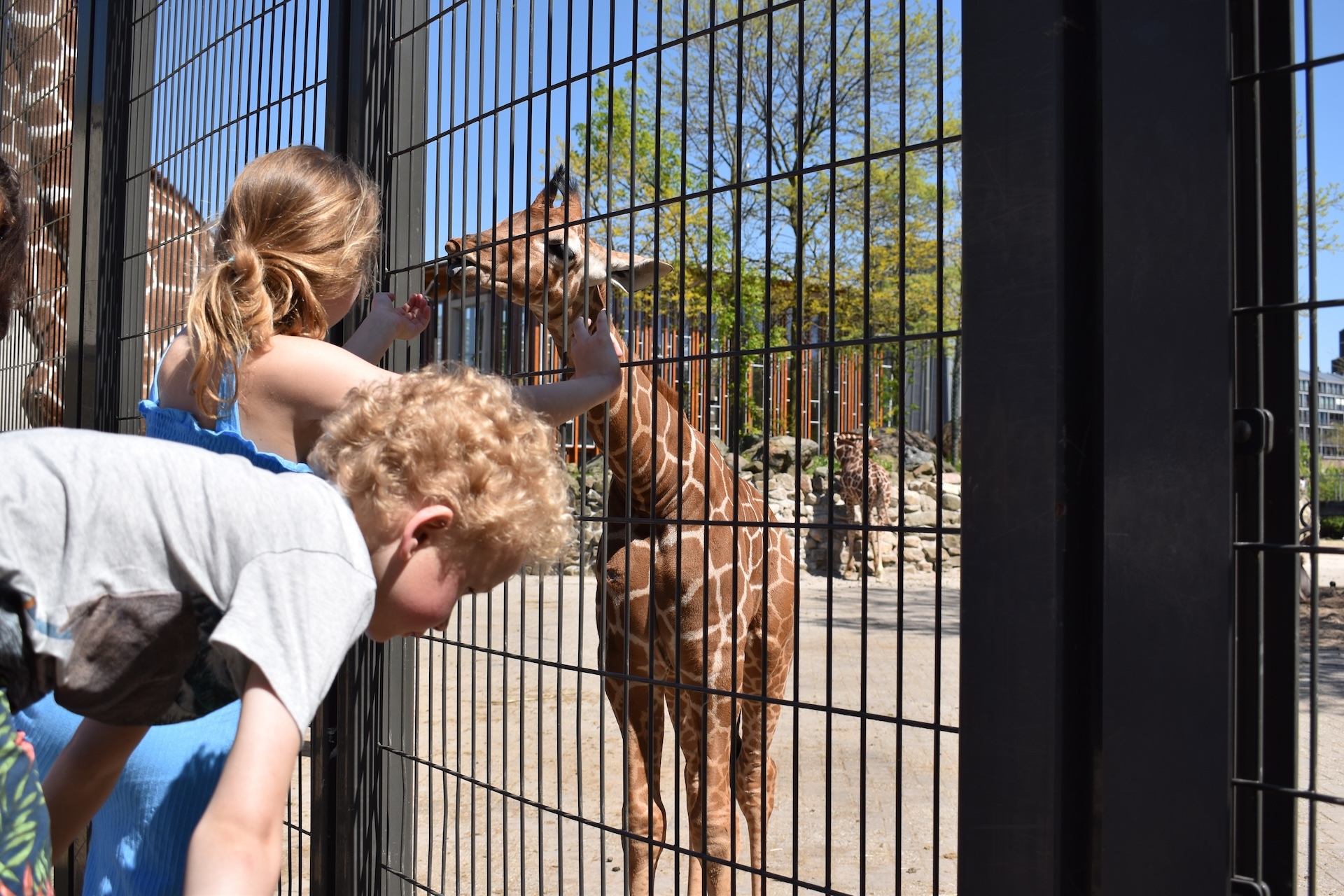 The best things to do with kids in Amsterdam