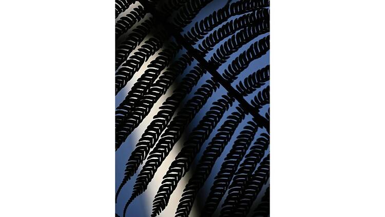 井関洋恵 写真展「Ever New ー 光へ」 井関洋恵 写真展「Ever New ー 光へ」