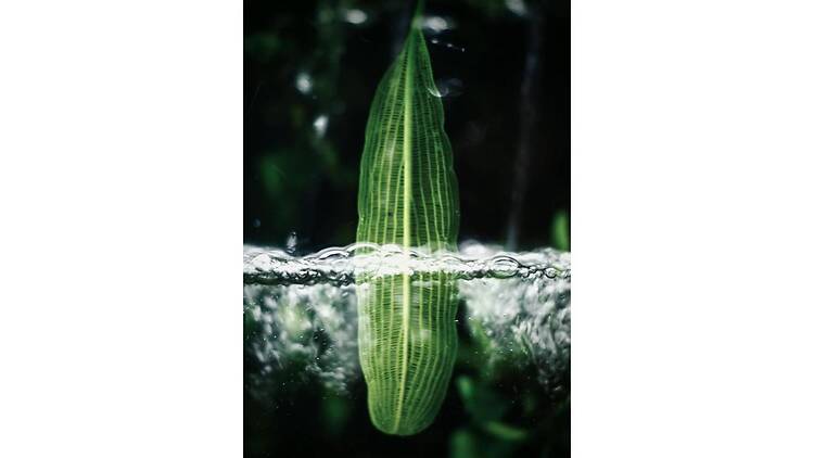 井関洋恵 写真展「Ever New ー 光へ」 井関洋恵 写真展「Ever New ー 光へ」