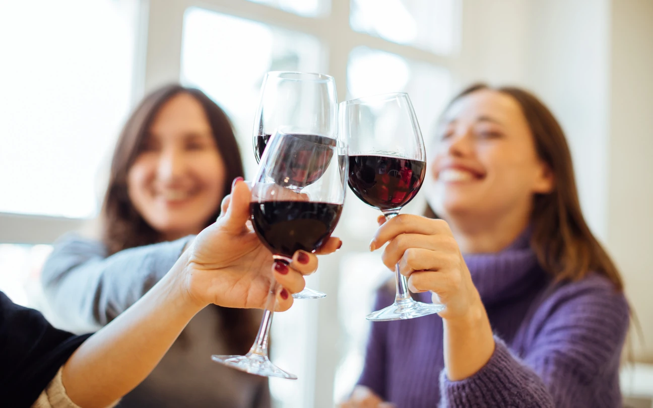 Group of girls (women) drinking red wine, celebrating and having fun together, focus on clinking glasses