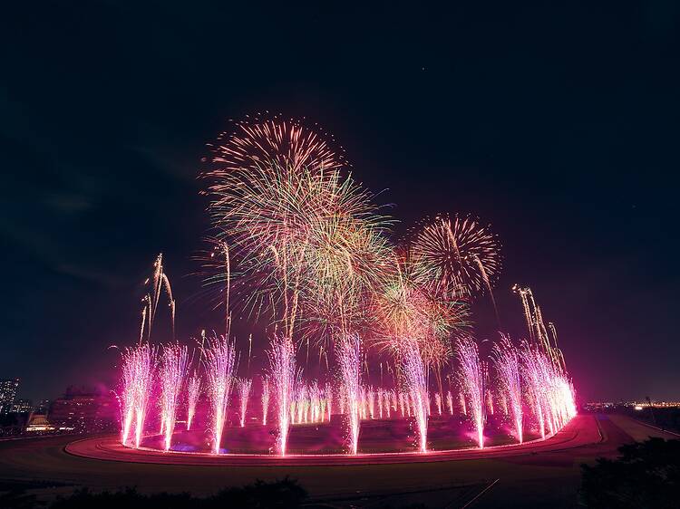 Tokyo Racecourse Fireworks