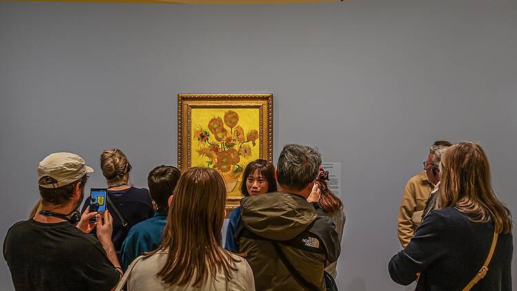 Spy some famous sunflowers at the Van Gogh Museum