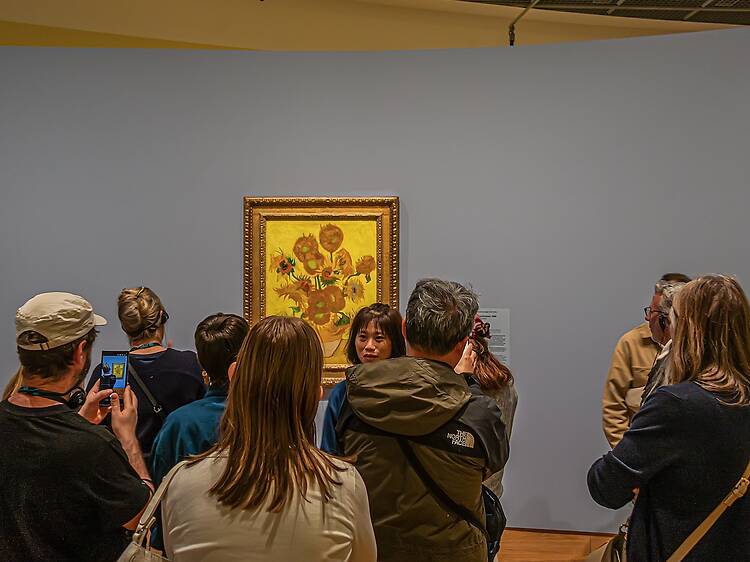 Spy some famous sunflowers at the Van Gogh Museum