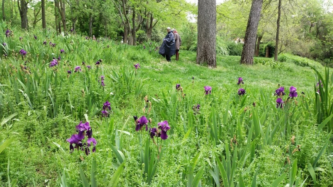 Naturaleza que cuida. Mejora tu bienestar en parques urbanos