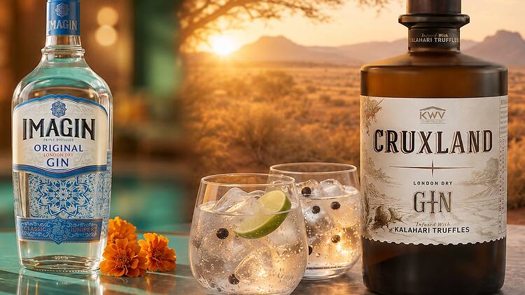 Are these (really) South Africa’s best gins?