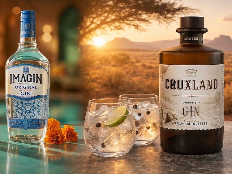 Gin Cruxland Imagin Gin Cruxland Imagin