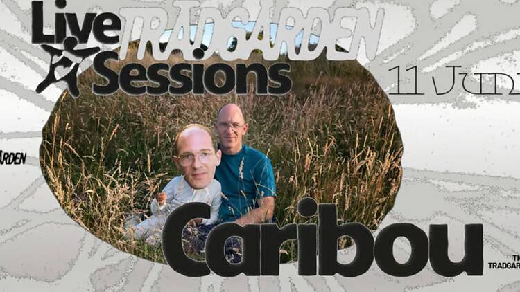 11.6. Konsert med Caribou på Trädgården, Skanstull