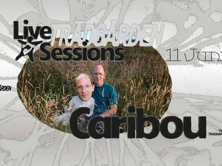 11.6. Konsert med Caribou på Trädgården, Skanstull