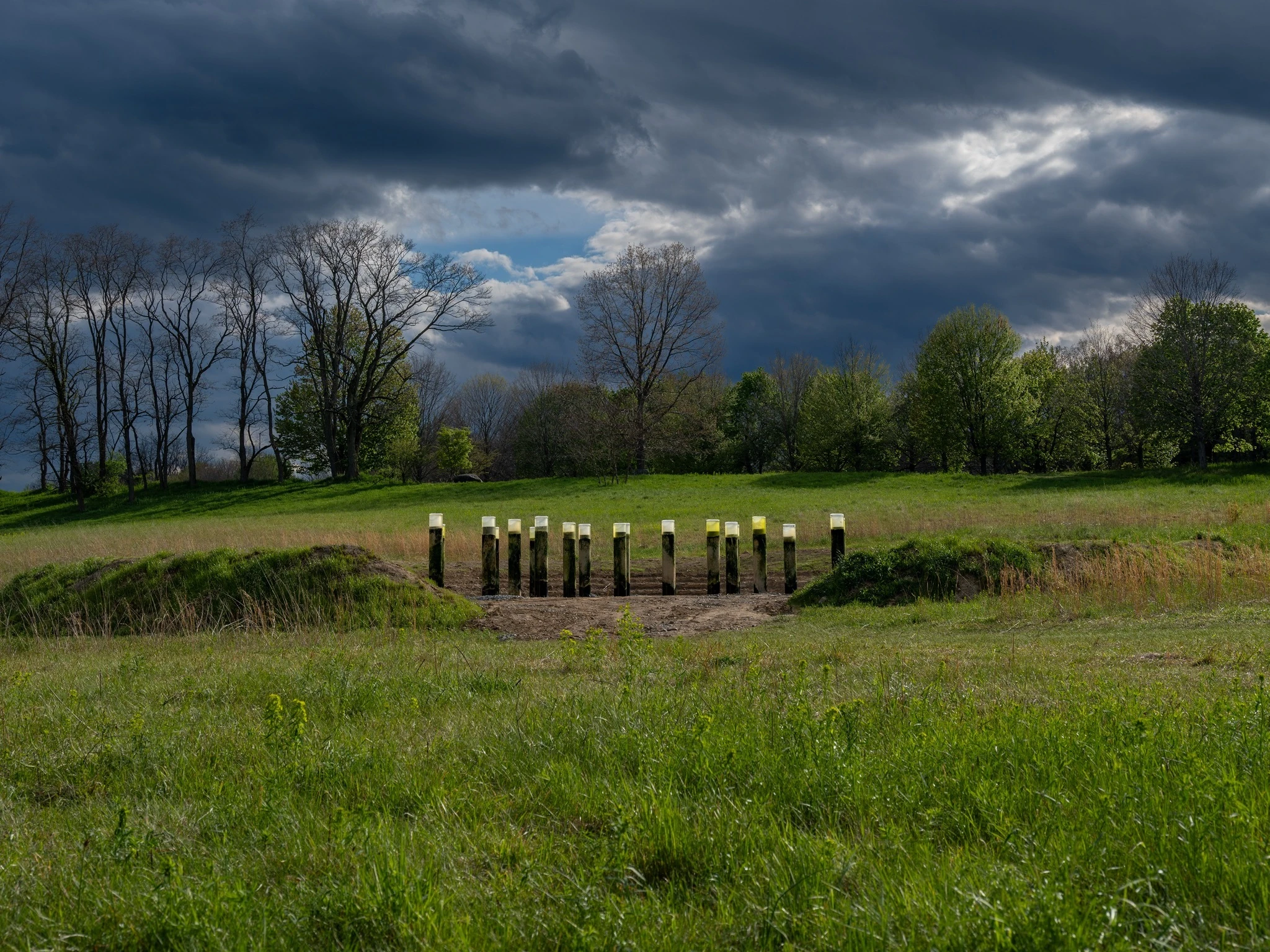 Anicka Yi, Message from the Mud, 2026. Courtesy the artist and Gladstone Gallery. Installation view at Storm King Art Center, Mountainville, NY.