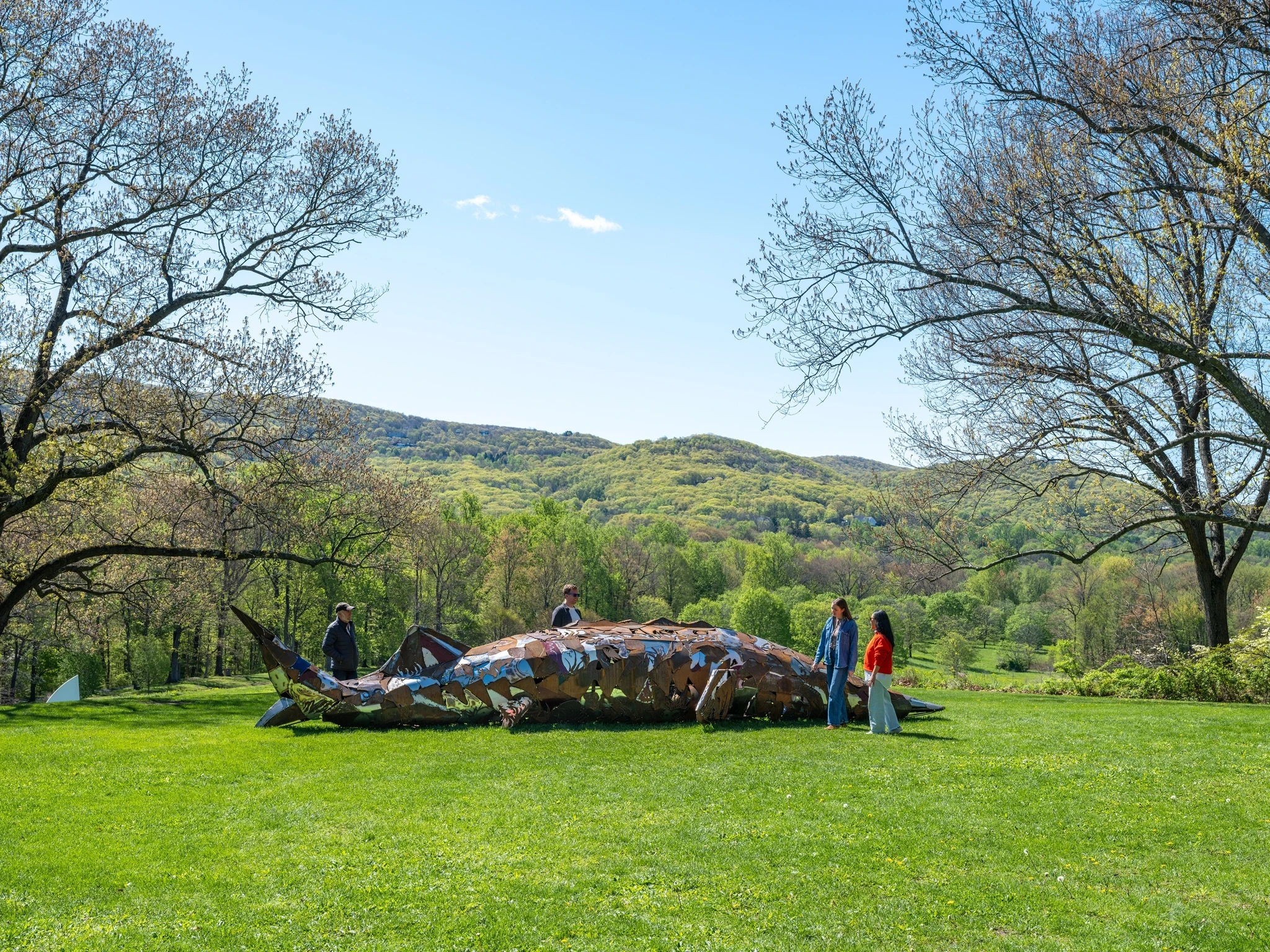 Saif Azzuz, weych - pues / t&agrave;kh&ograve;ne (where the rivers meet), 2026. Courtesy the artist, Anthony Meier, and Nicelle Beauchene Gallery. Installation view at Storm King Art Center, Mountainville, NY.