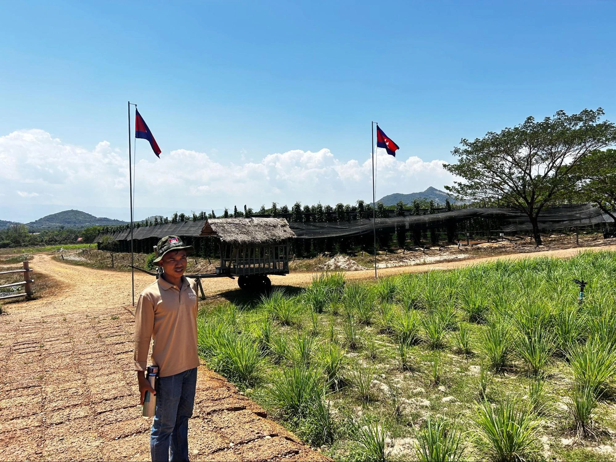 La Plantation 