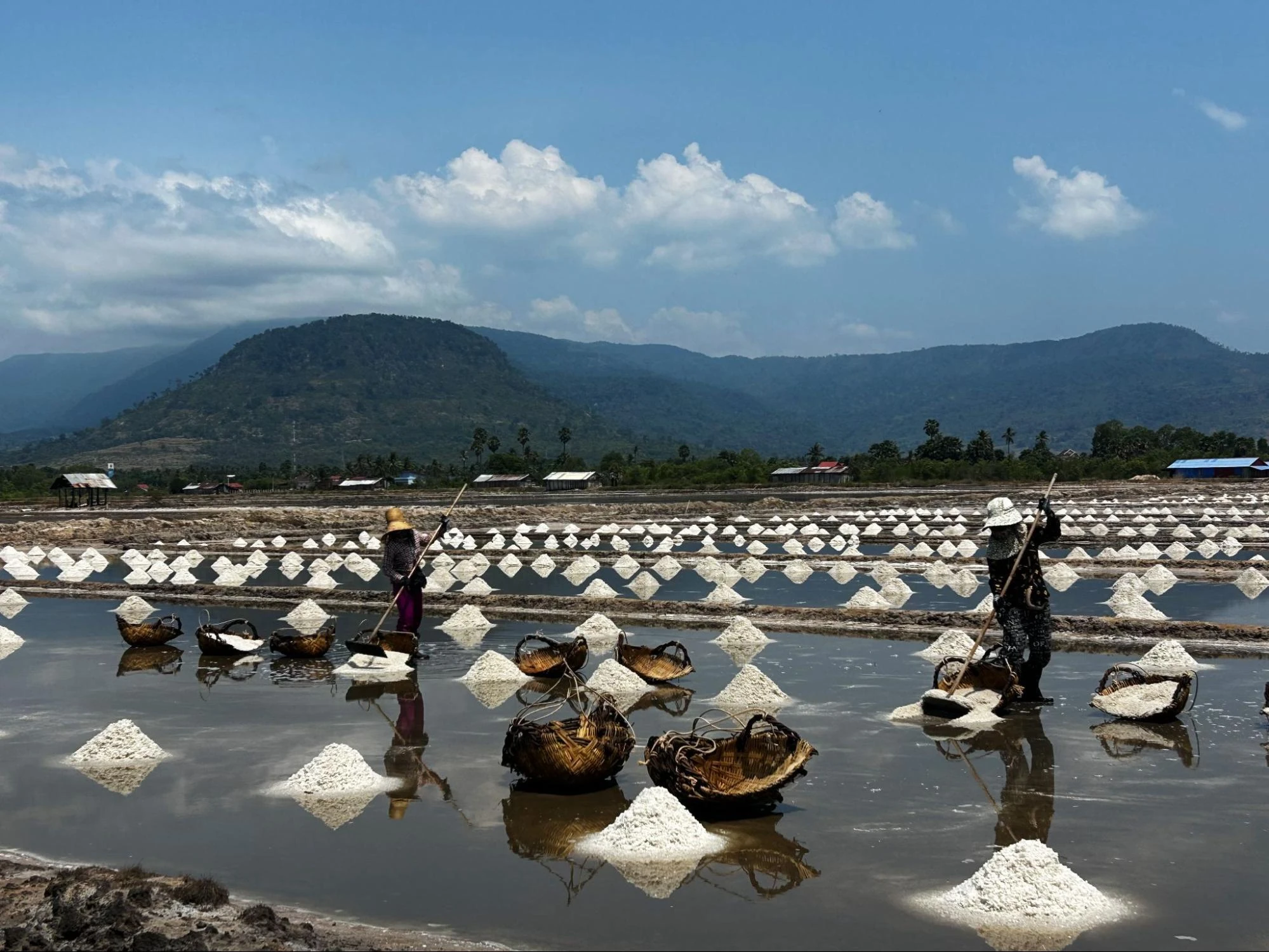 Salt fields 