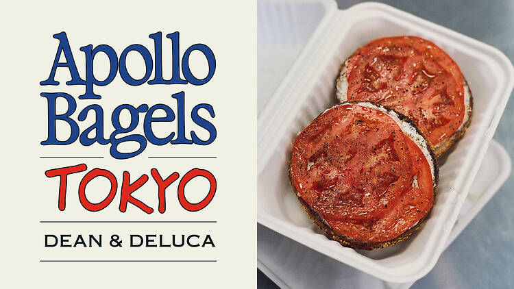 Apollo Bagels