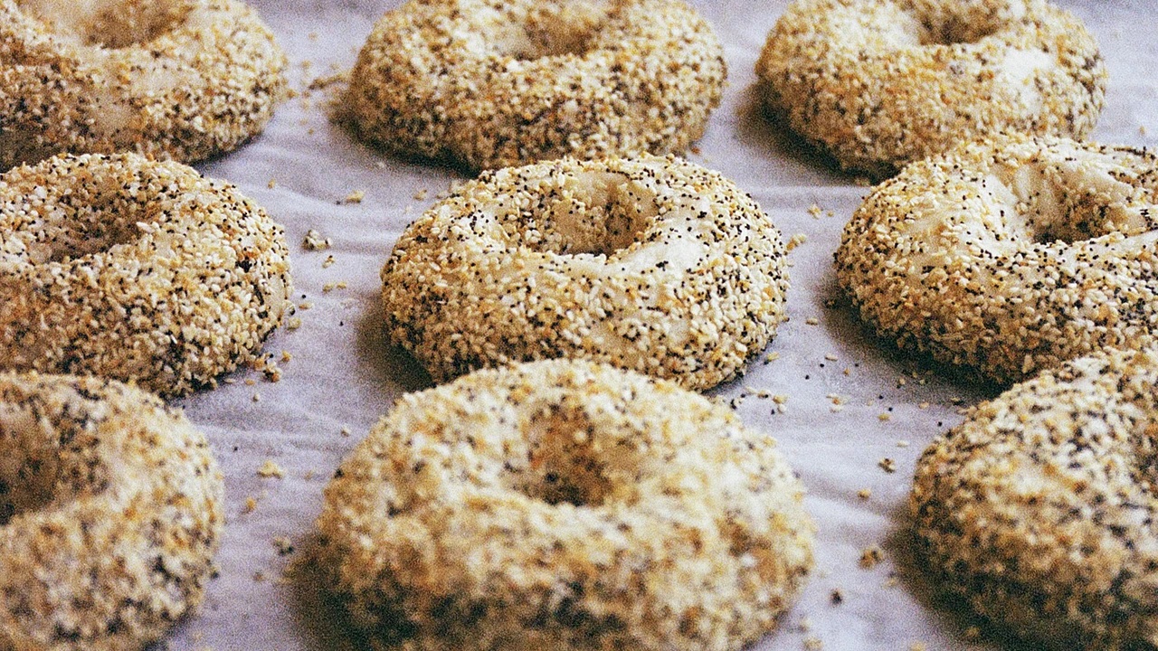 Apollo Bagels