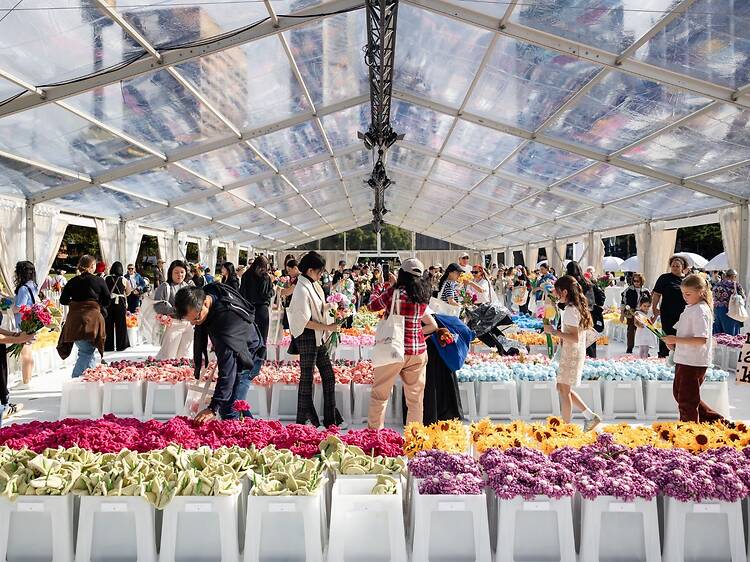 CJ Hendry’s Flower Market in Sydney CJ Hendry’s Flower Market in Sydney