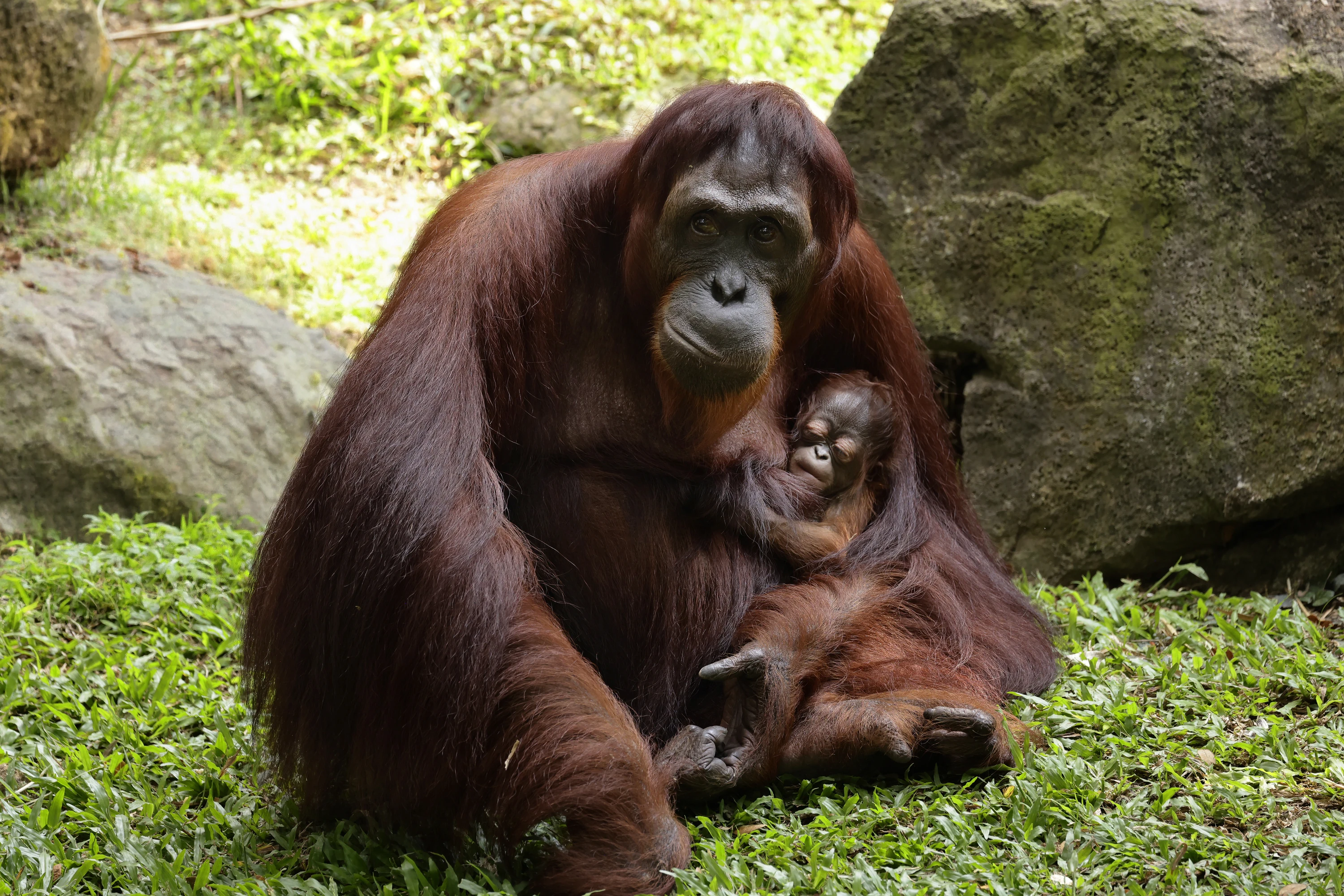 Ayaan and mother