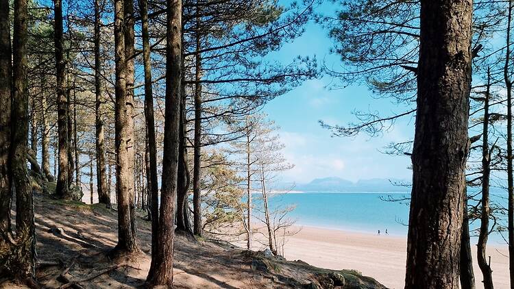 Newborough Beach, Anglesey Newborough Beach, Anglesey