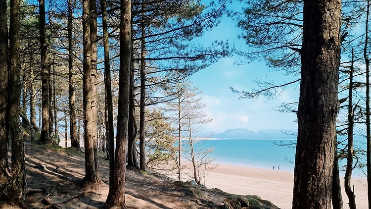 Traeth Llanddwyn (Newborough Beach), Anglesey Traeth Llanddwyn (Newborough Beach), Anglesey