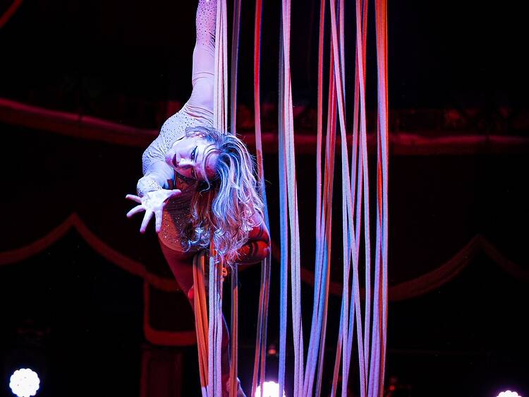 Inside the velvet fever dream: The Royal Countess Zingara returns to Johannesburg