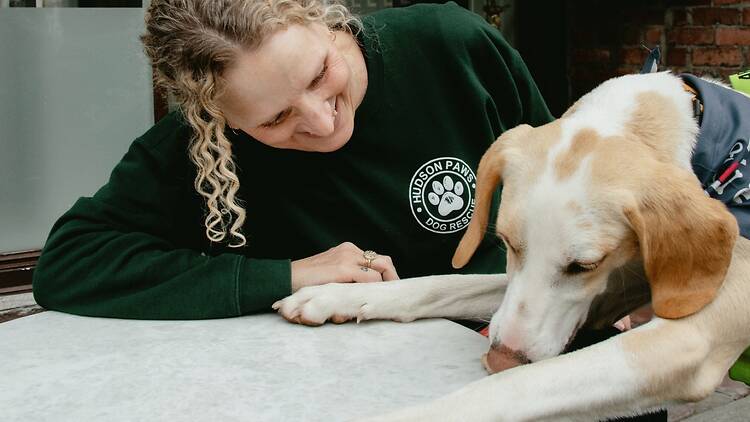Hudson Paws Dog Rescue (Hudson, NY) Hudson Paws Dog Rescue (Hudson, NY)