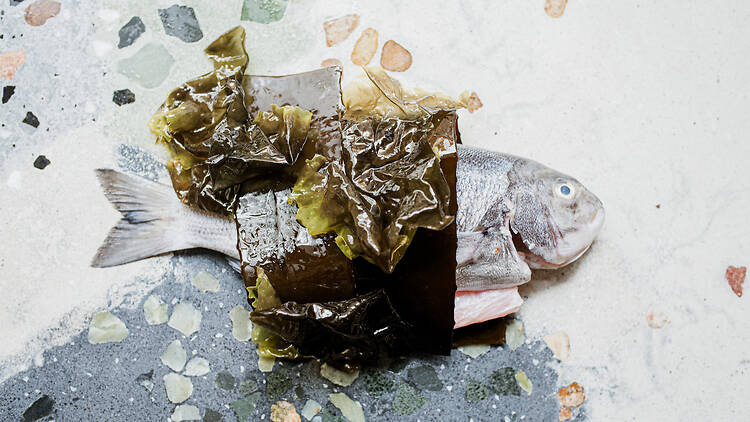 Seebamboes explores the meeting point between land and sea in unexpected ways