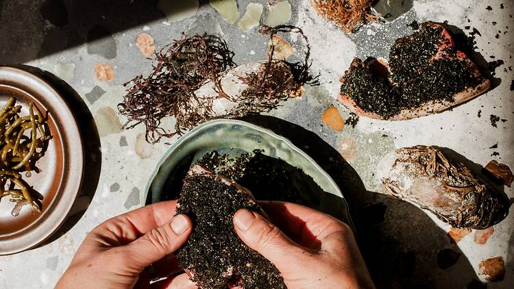 Variants of seaweed take centre stage at Seebamboes.