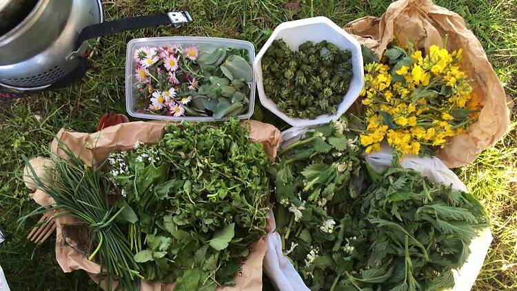 Ät från naturens vilda skafferi Ät från naturens vilda skafferi