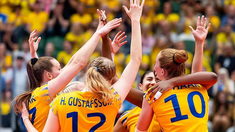Se mästerskapen i Volleyboll Se mästerskapen i Volleyboll