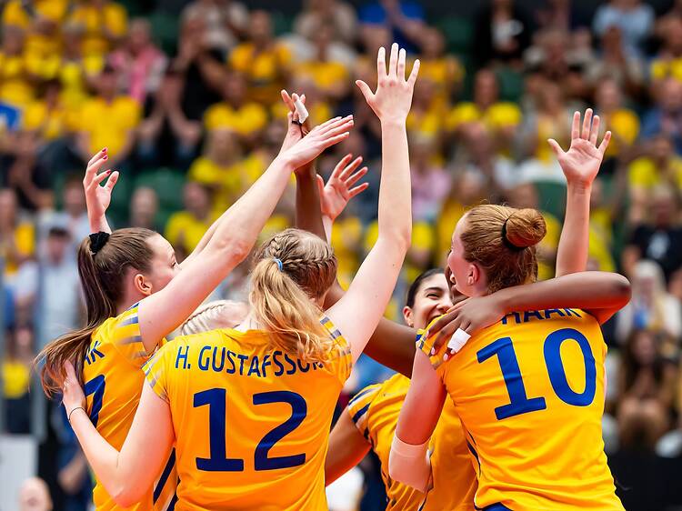 Se mästerskapen i Volleyboll Se mästerskapen i Volleyboll
