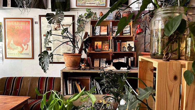 Turn a page or two at Rare Finds Bookstore and Cafe Turn a page or two at Rare Finds Bookstore and Cafe