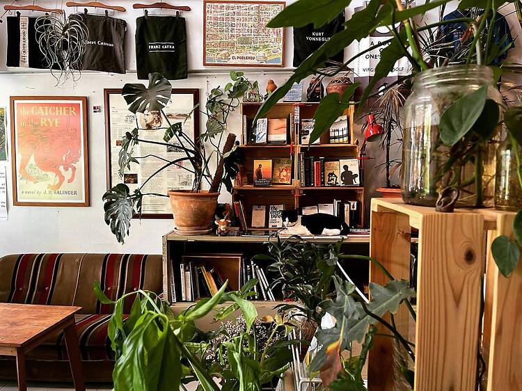Turn a page or two at Rare Finds Bookstore and Cafe Turn a page or two at Rare Finds Bookstore and Cafe