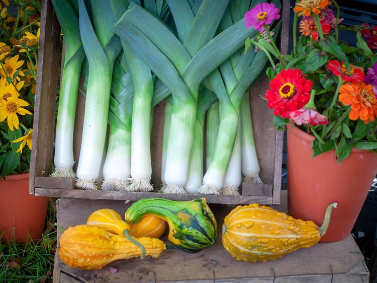 Experience the fifth season and celebrate the harvest Experience the fifth season and celebrate the harvest