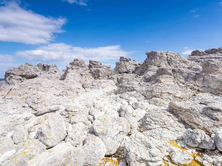 Discover the mighty sea stack fields Discover the mighty sea stack fields