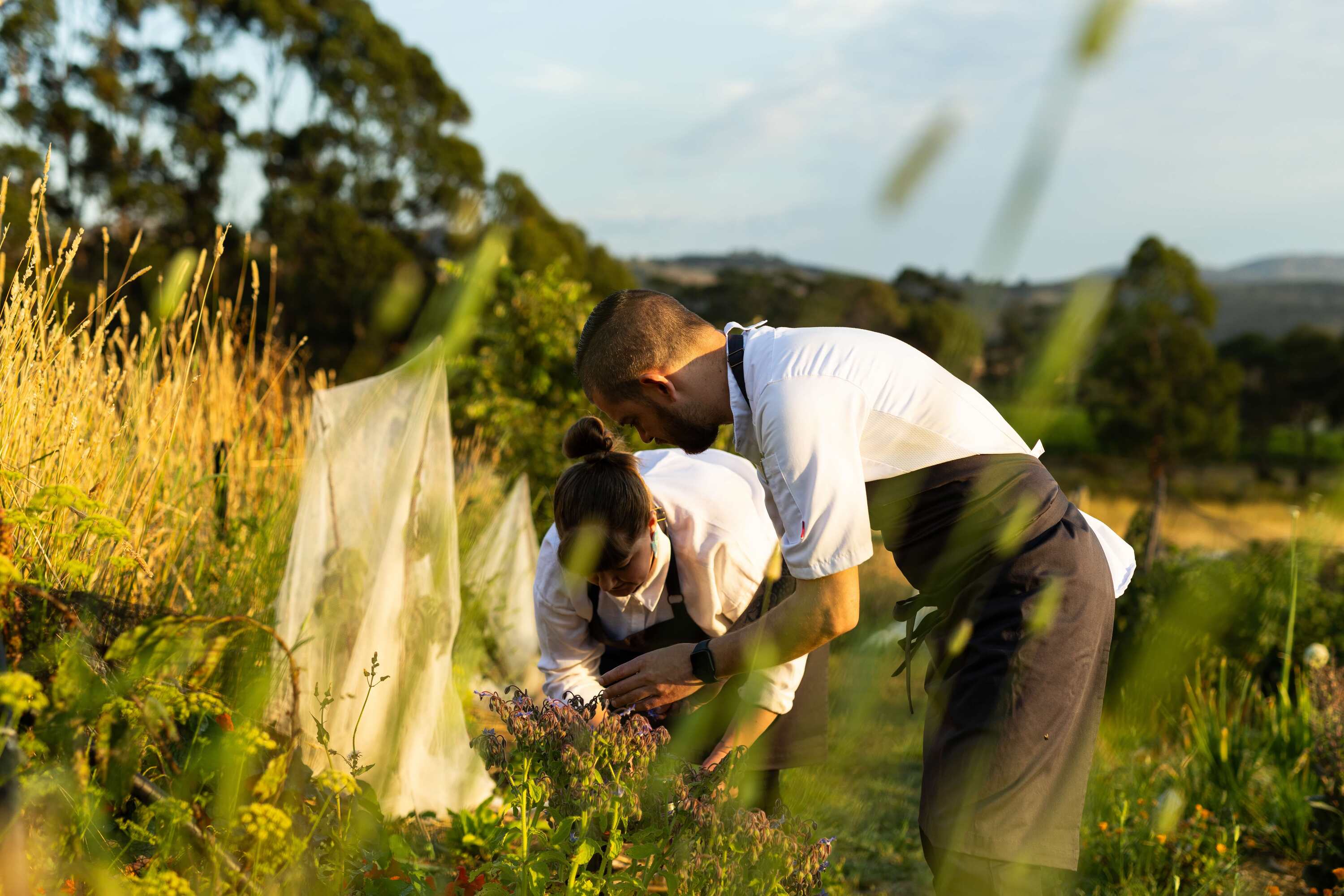 timeout.com - Melissa Woodley - This underrated Australian region was just named one of the world's best food destinations